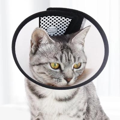 Köpek – Köpek bakım ürünleri