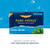 Park Avenue Premium Mens Soap Cool Blue 125g X 4N Refreshing Menthol Mineral Energizer For All Skin Types