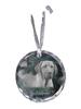 Black and Tan Coonhound - Crystal Bauble with a Photo, Dog Photo In Crystal, Personalized Christmas Tree Ornament by Brand