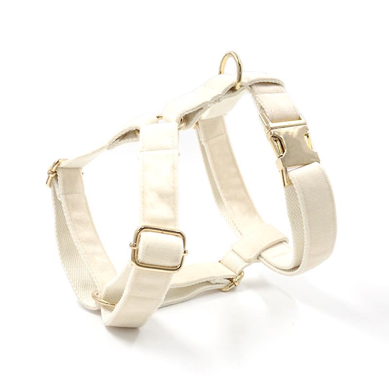 Mihala Boss Cream Velvet Harness with Gold Buckle, Engraved ID Option XL