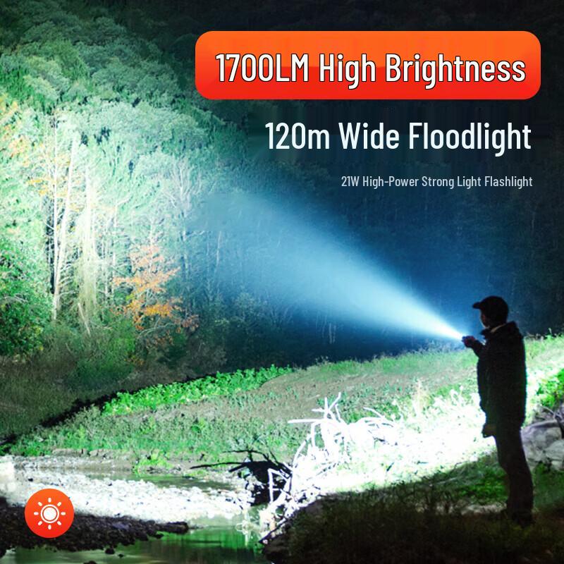 Philips SFL2189P Ultra-Bright Rechargeable Flashlight