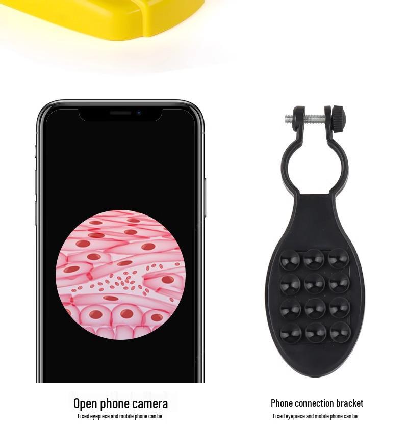 Hochauflösendes biologisches Mikroskop für Kinder im Alter von 6-12 Jahren: Ideal für den Unterricht über Zellen, Bakterien und Mikroorganismen in Grund- und Mittelschulen