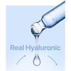 WELLAGE Real Hyaluronic Blue 100 Ampoule 75ml