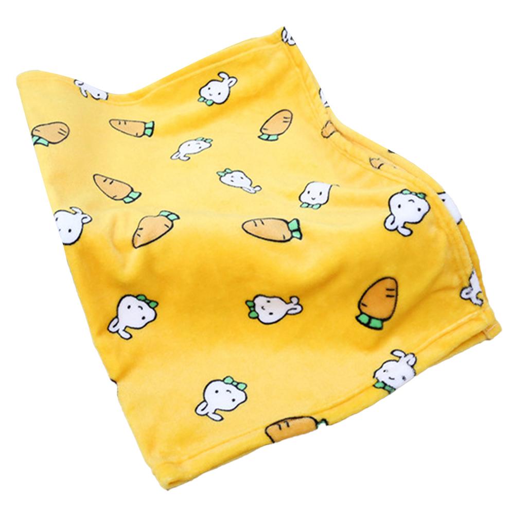 Pet Blanket Thick Soft Warm Double Sided Flannel Coral Fleece Cat Dog Sleep Blanket for Small