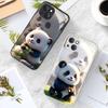 Ins Panda Is Suitable for Apple 15pro Mobile Phone Case Iphone17 High Transparent Glass Case 12promax Cute Cartoon