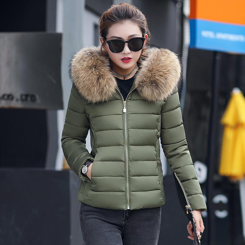 Autumn Winter Korean Style Women's Slim Fit Cotton Padded Jacket - Cold Protection Outerwear