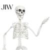 Poseable Halloween Prop 3ft Life Size Skeleton, Full Body Posable Plastic Skeleton Prop, Realistic Movable Joint Human Bones Model for Yard Patio Lawn