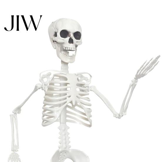Poseable Halloween Prop 3ft Life Size Skeleton, Full Body Posable Plastic Skeleton Prop, Realistic Movable Joint Human Bones Model for Yard Patio Lawn