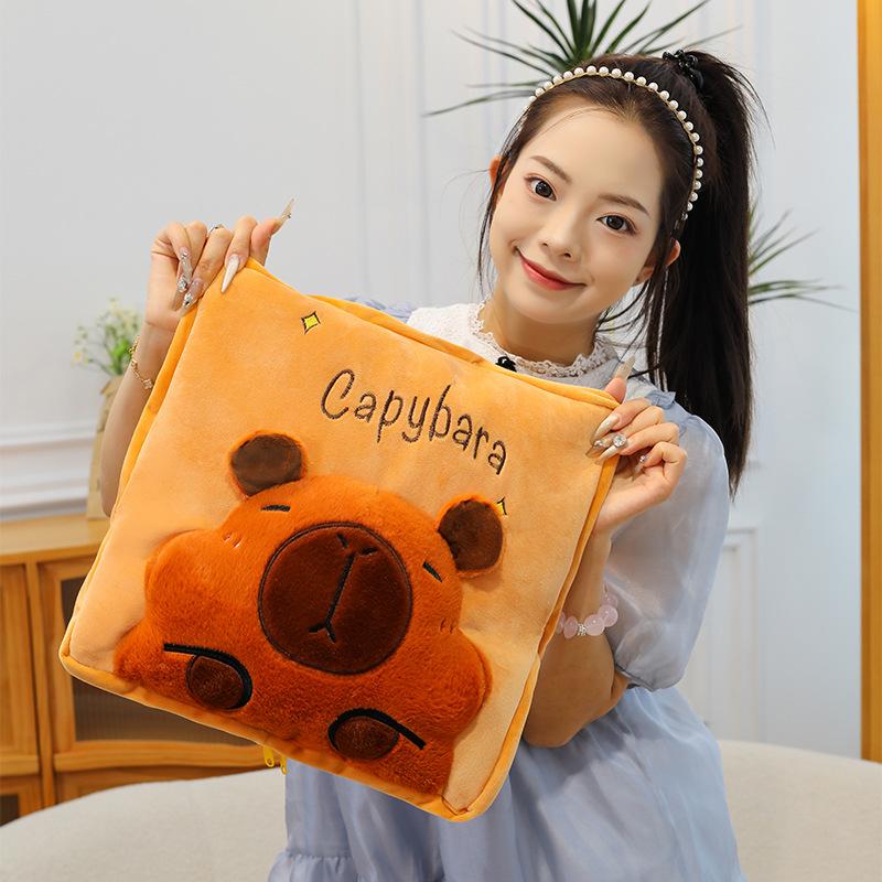 3D Pop-up Capybara Blanket & Pillow: Multi-functional Plush Sofa Throw for Office or Home