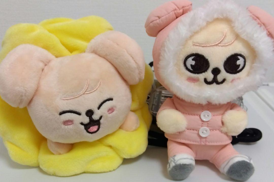 

[USED] Straykids Papim Goods