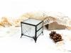 Retro Glass Jewelry Box for Rings, Earrings, and Wedding Decor
