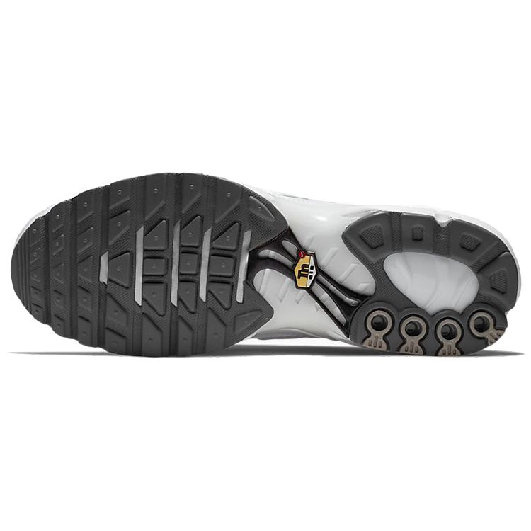 Nike Air Max Plus White Men Sneakers 604133-139