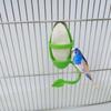 Plastic Cuttlebone Holder for Parrot Bird Accessories Calcium Vitamins Supplementing