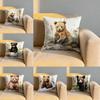 Honey Bear Painting Cushion Cover Soft Reversible  Durable Pillow Cover  MultiScene Use for Home  Car Daily Comfort