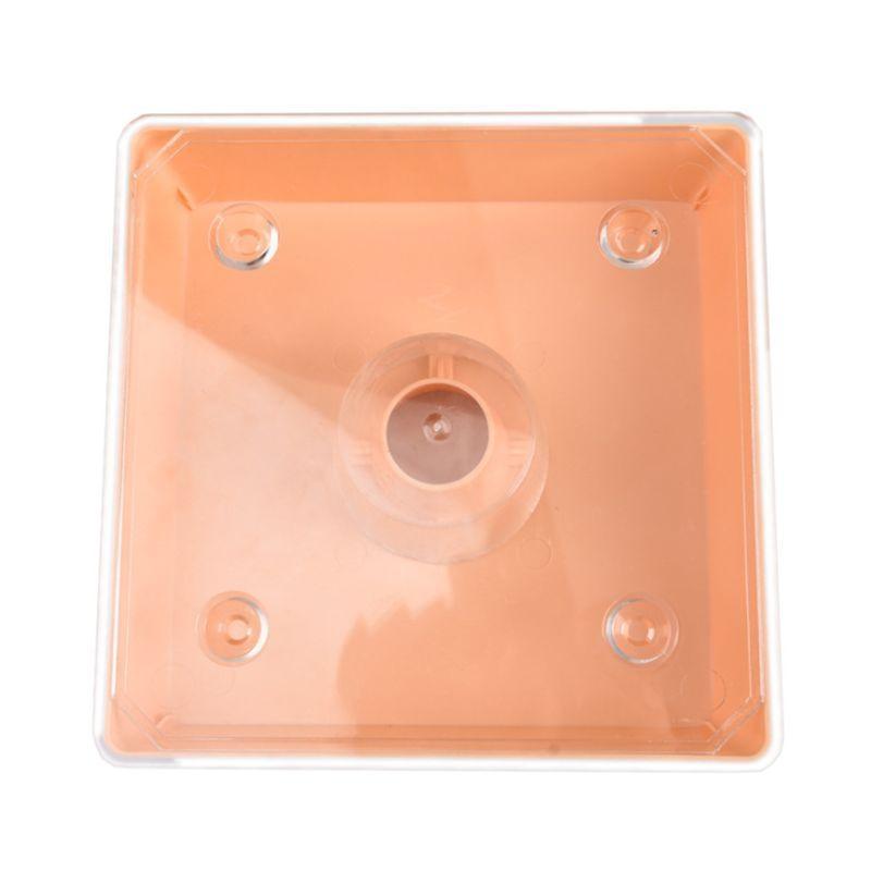 Beekeeping Feeder Honey Plastic Square Feeding Drinking Waterer Watering