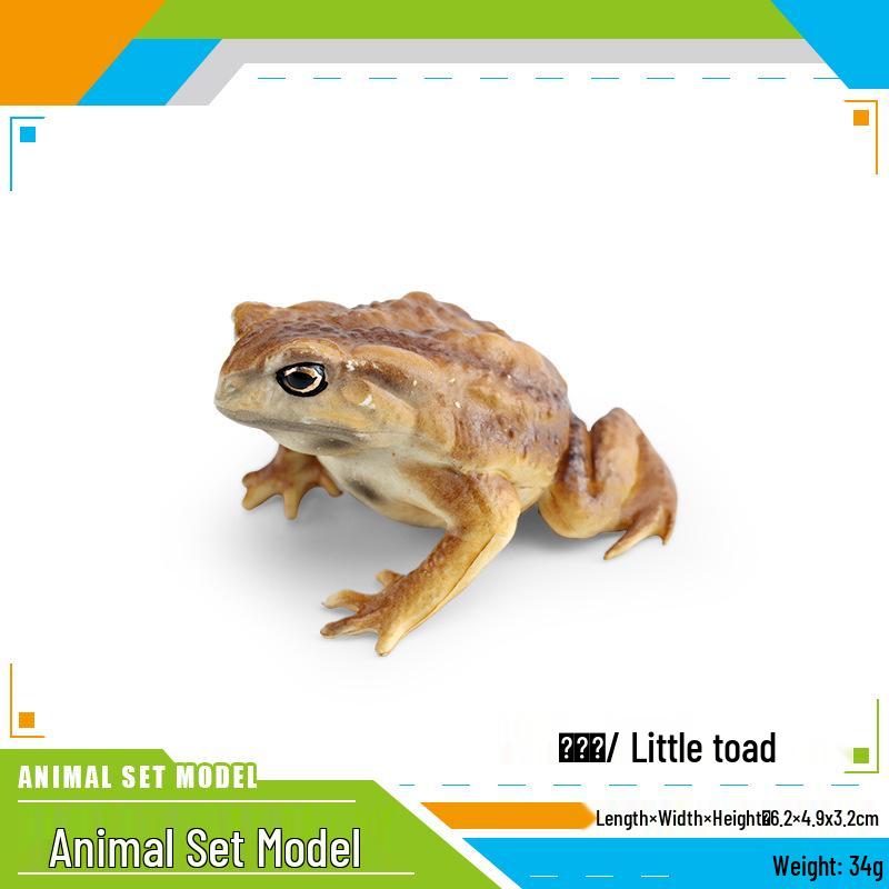 Cross-border Children's Frog and Toad Cognitive Figurine Toy