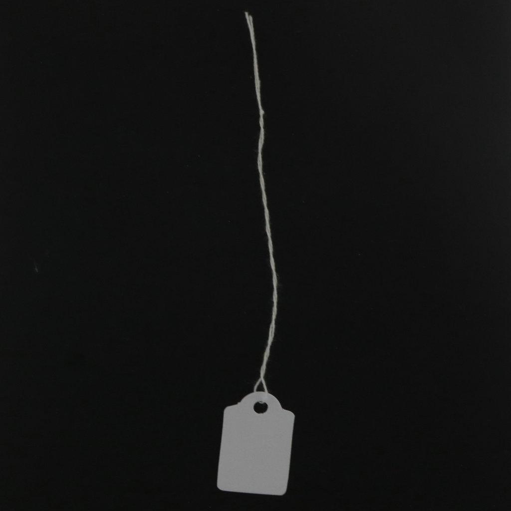 100pcs Handwritten Blank Jewelry Price Tags with Cotton Thread