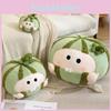 Plush Cartoon Watermelon Toy Anthropomorphic Stuffed Fruit Gift Birthday