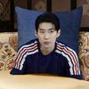 Jay P-park Singer Pillow Case Pillowcase, Double-sided Printed, Sofa Cushion, Bedroom Headboard Pillow