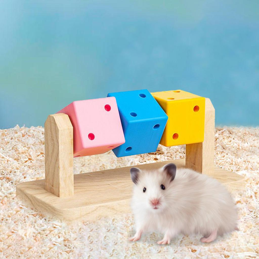 Hamster Chew Blocks Hamster Enrichment Toy Bite Safe Craftsmanship Natural Hamster Chew Toys Wood Hamster Chew Toys