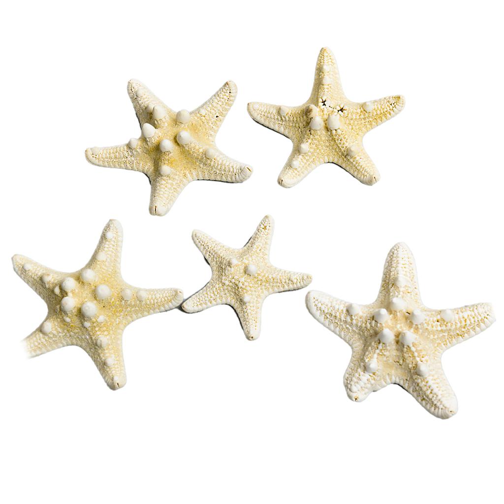 Fish Tank Starfish Decor Unique Beautiful Starfish Ornament Set for Home Aquarium DIY Photo Frame Wind Chime Type 1
