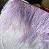 Feather Cloth Strip 10-15Cm Ostrich Hair Cloth Edge Dress Latin Dance Dress Skirt Decoration Clothing Accessories Lace