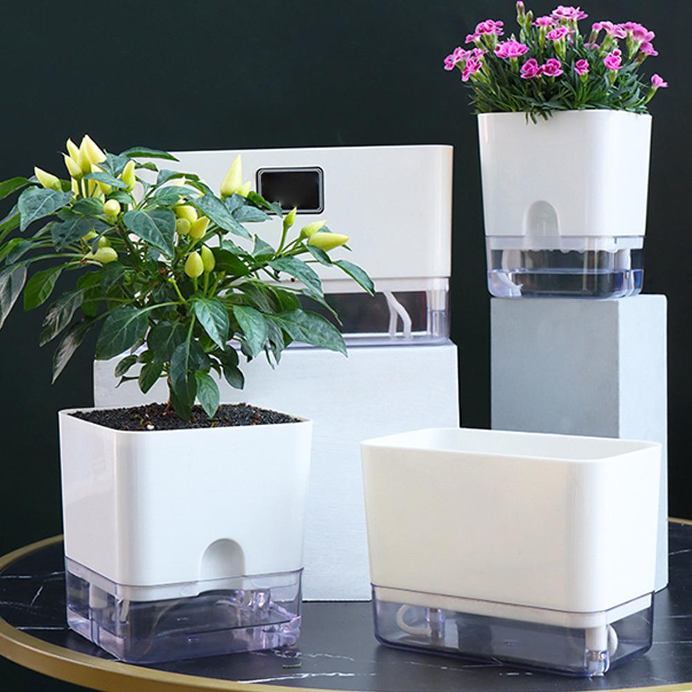 Self Watering Plant Pot Self Watering Planter with Cotton Rope Transparent Flower Pot with Visible Reservoir for Indoor Plants