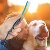 Color Stainless Steel Pet Comb Professional Pet Grooming Comb Dense Sparse Teeth Dog Cat Cleaning Brush Hair Removal 22cm Comb