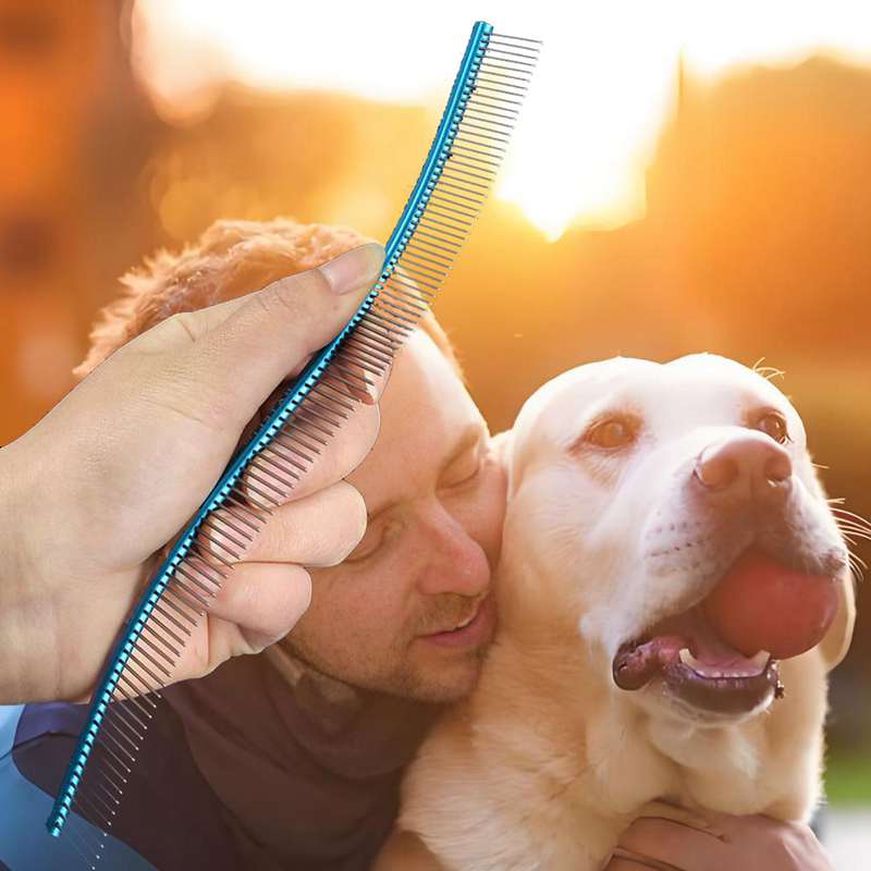 Color Stainless Steel Pet Comb Professional Pet Grooming Comb Dense Sparse Teeth Dog Cat Cleaning Brush Hair Removal 22cm Comb