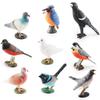Atemberaubendes, realistisches Vogelfiguren-Set mit farbenfrohen Tauben-, Elster- und Kuckucksmodellen