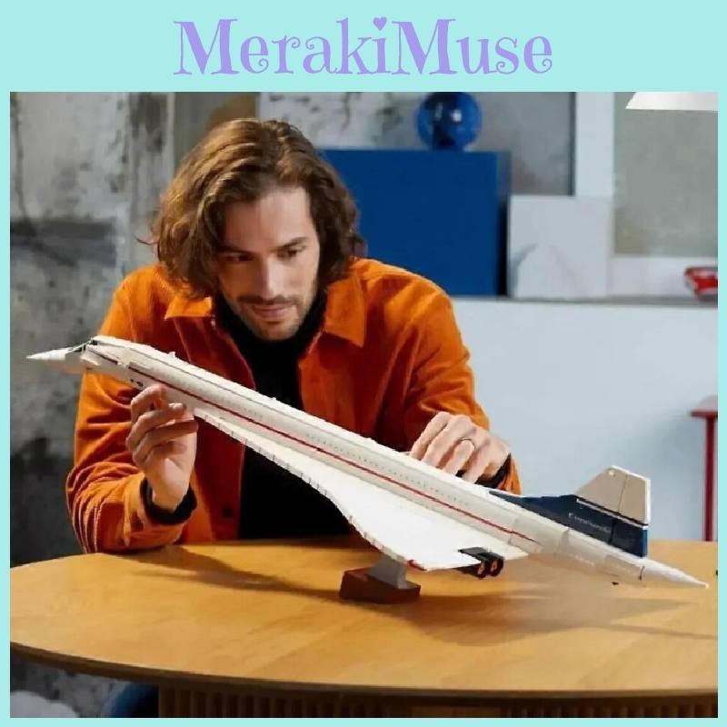 Airplane Building Kit With Plastic Blocks For Collectors And Kids