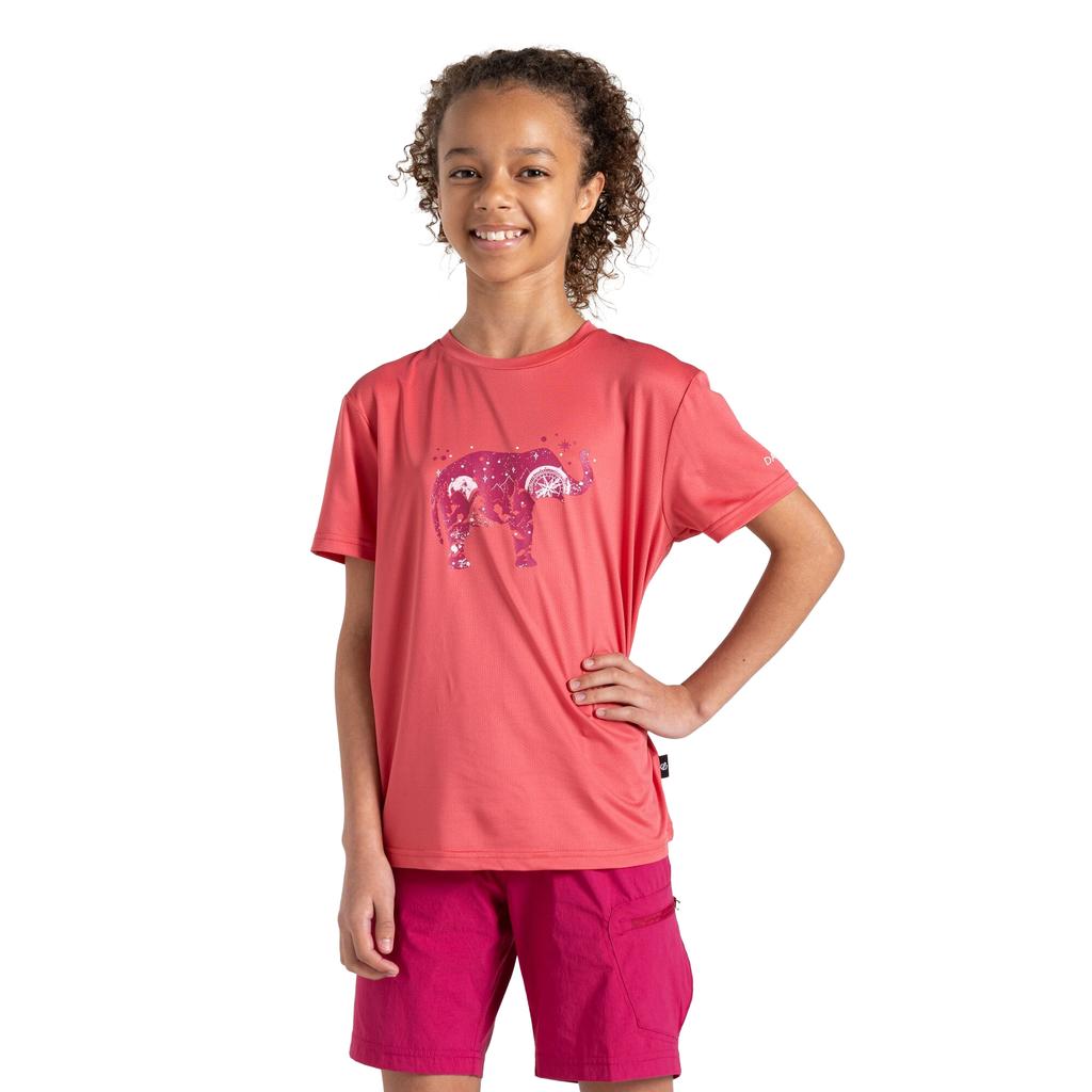 Regatta Childrens/Kids Amuse II Bike T-Shirt