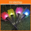 Tulip Garden Table Lamp Solar Powered Led Light For Night Time Illumination.