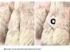 Floral Girls' Down Jacket 2025: Winter Outerwear for Medium & Large Kids, 90% Down