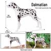 Cross-Border Cat Simulation Models: Persian, Hairless, Ragdoll, Orange, Leopard, Maine Coon, Siamese