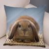 Sofa Car Home Decor Cute Rabbit Cushion Cover Bedroom Living Room Pillowcase Pet Animal Pillowcase