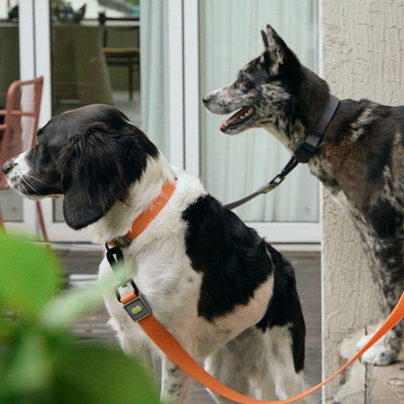 MUNIKUND Water-Block Collar (3 Colors)