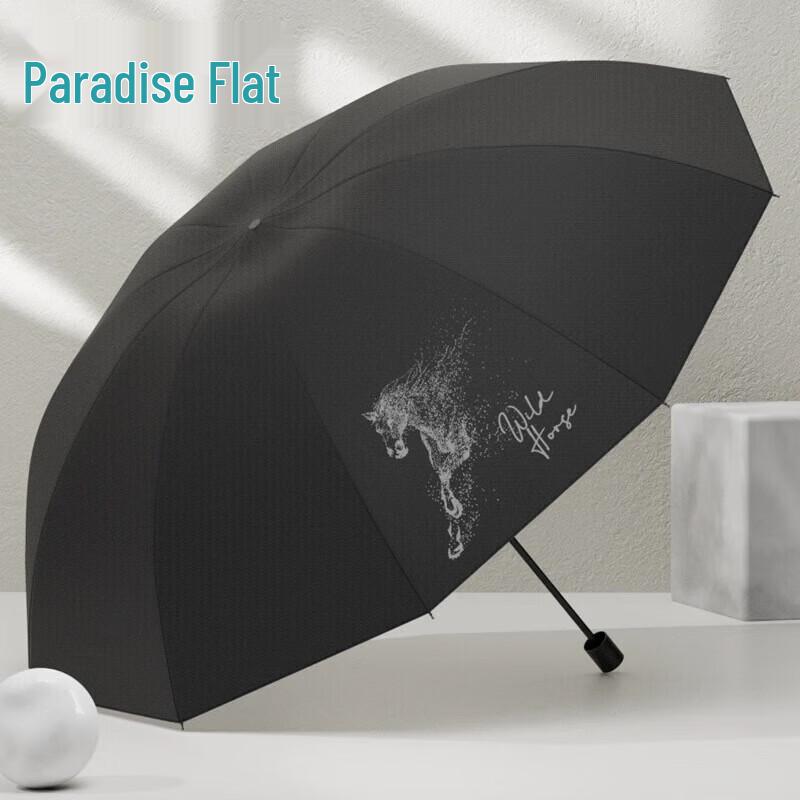 TianTang 10-Rib Oversized Black UV Protection Folding Umbrella