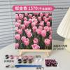 DIY Digital Landscape Oil Painting Coloring Hand Filled Painting Paint By Number Children's Coloring Decorative Landscape