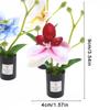 1:12 Dukkehus Miniature Phalaenopsis Blomsterpotte Potteplanter Have Hjem Model Dekoration Legetøj Dukkehus Tilbehør