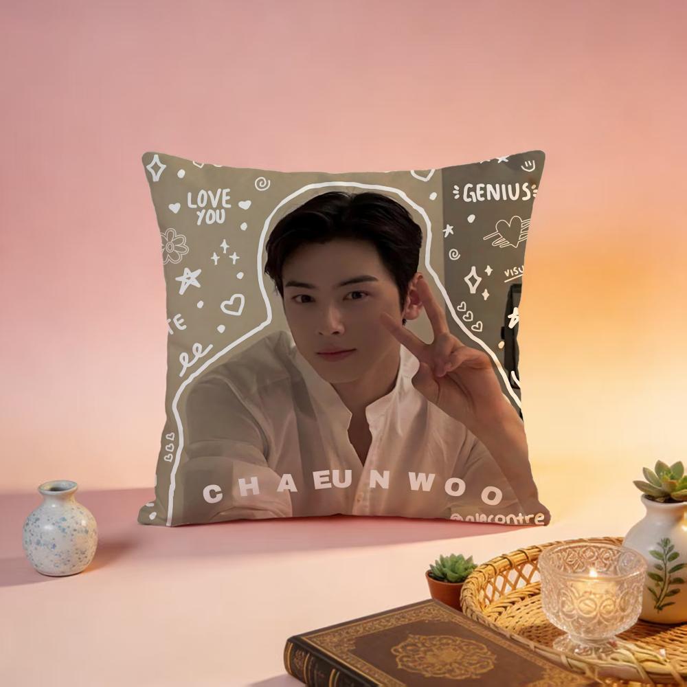 Hot CCha Eun Wooable Cushion Cover Premium SkinFriendly Pillow Case MultiPurpose for Home Office Travel
