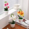 Artificial Phalaenopsis Bonsai Simulation Plants Pot Plants for Home Garden Table Bedroom Decoration Outdoor Fake Plant Ornament