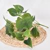 Deliciosa Plastic Monstera Epipremnum Aureum Rohdea Japonica Plant Artificial