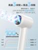 Sarlisi Hair Large Air Quick 300 Million Salon Negative Ion Hair 3 Levels of Wind 3 Wind Temperature Constant Temperature Hair Comes with Magnetic For