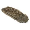 Dinosaur Fossil Aquarium Decoration Resin Reptile Ornament Aquarium Animal Craft for Fish Tank