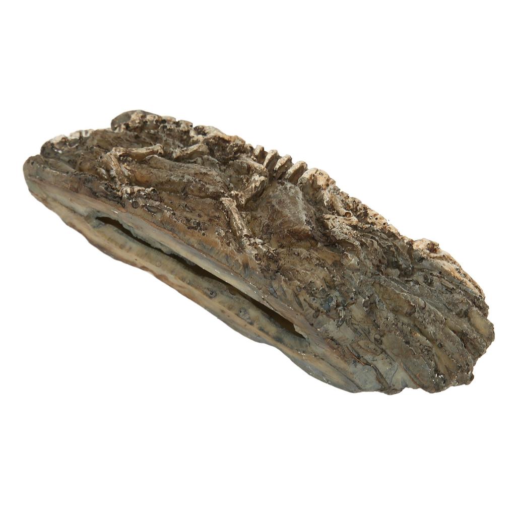 Dinosaur Fossil Aquarium Decoration Resin Reptile Ornament Aquarium Animal Craft for Fish Tank