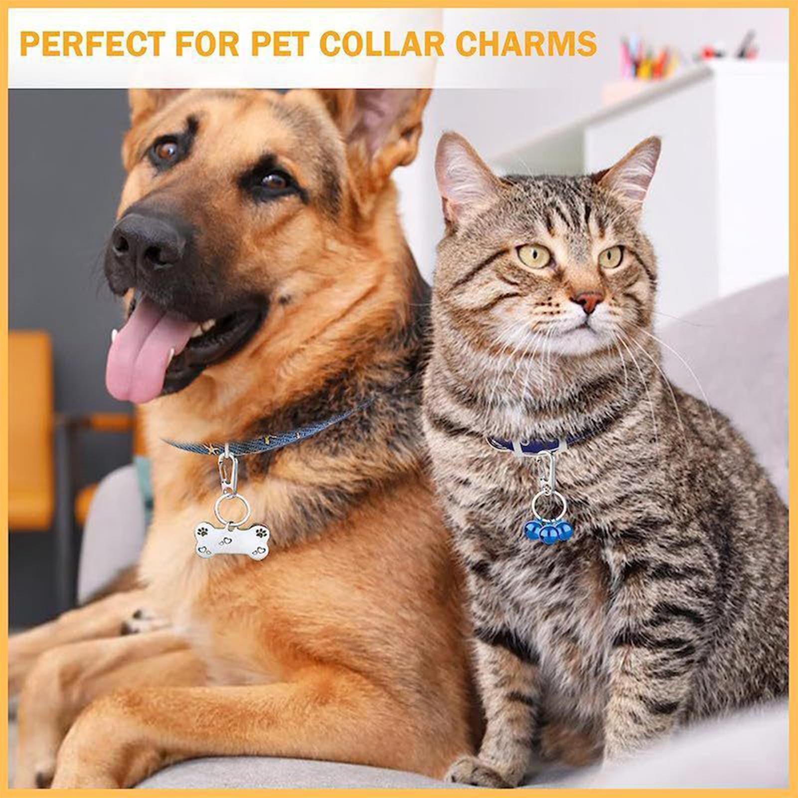 

Dog Tag Clip 4-pieces Stainless Steel Quick Clips For Pet Collars Pet Supplies Positioning Device Fixing For Outdoor Activities China Mainland