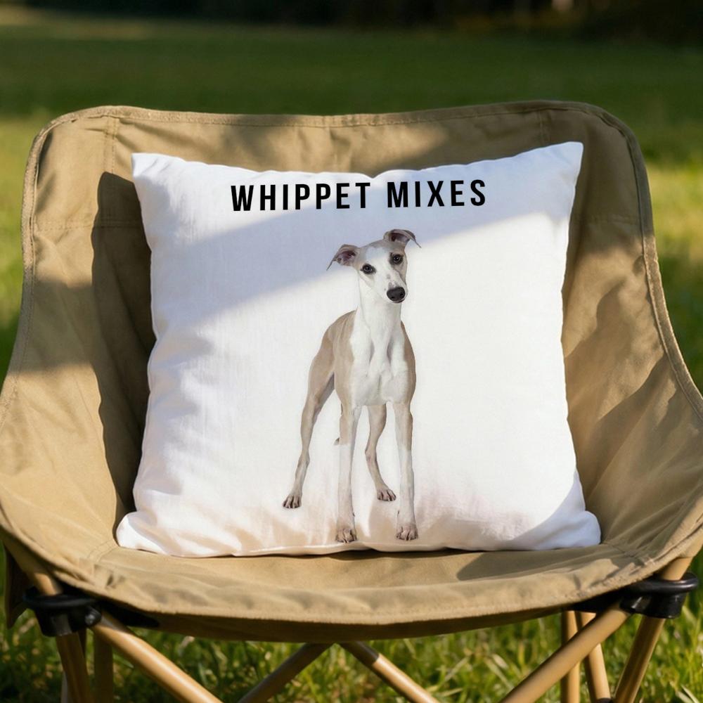 Derp Whippet Cute Cushion Cover Soft Reversible Durable Pillow Cover MultiScene Use for Home Car Daily Comfort