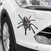 Styling Lovely Cool Spider 3D Cartoon Cartoon Cartoon Creative Personality Decoration Obtisky