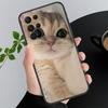 Phone Case For Samsung A17 A55 A16 A56 A35 A15 A53 A54 A33 A34 A25 A05S A52 A52S A07 A26 A06 Cute Cats